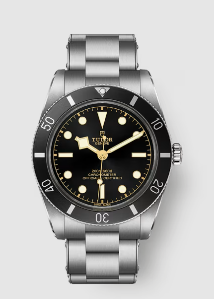 Replica Tudor Black Bay 54 Watch M79000N-0001